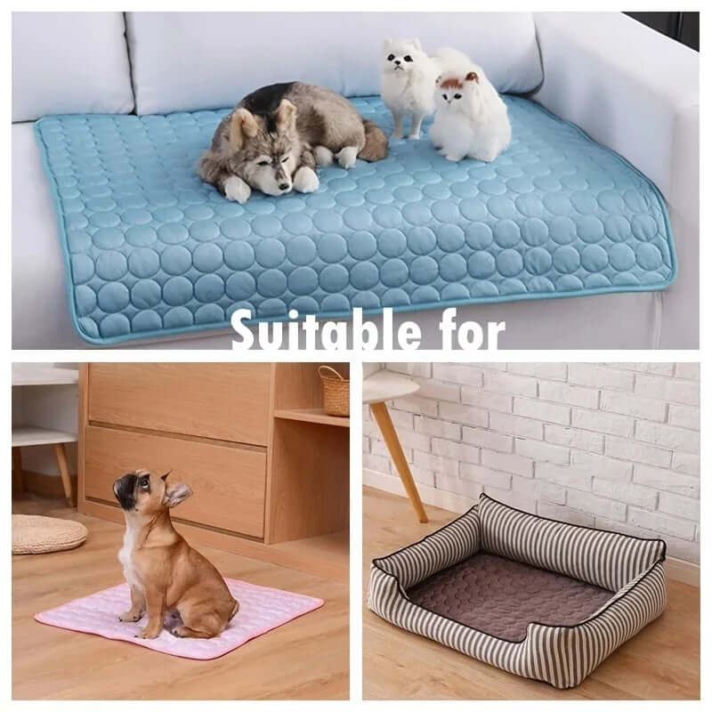 Summer Pet Cold Bed for Small & Big Dogs