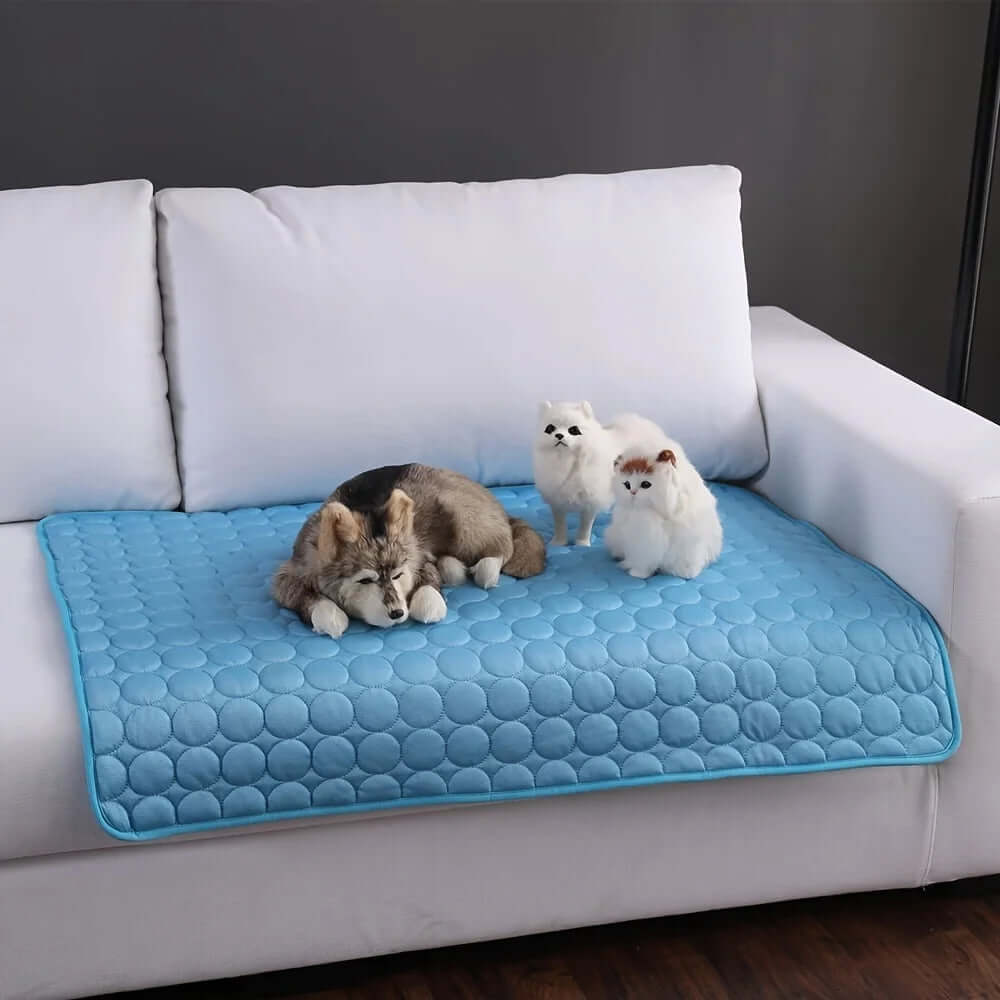 Summer Pet Cold Bed for Small & Big Dogs