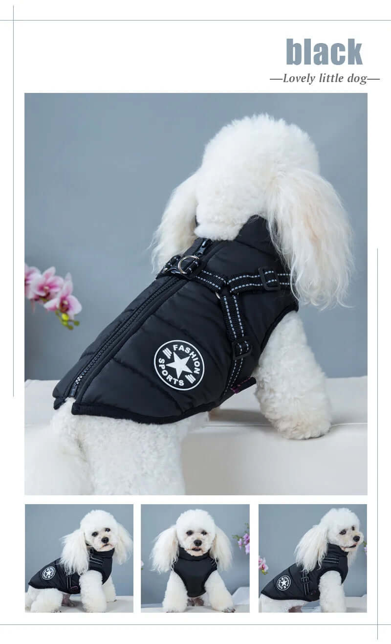 Winter Waterproof Coat for Small and Large Dogs