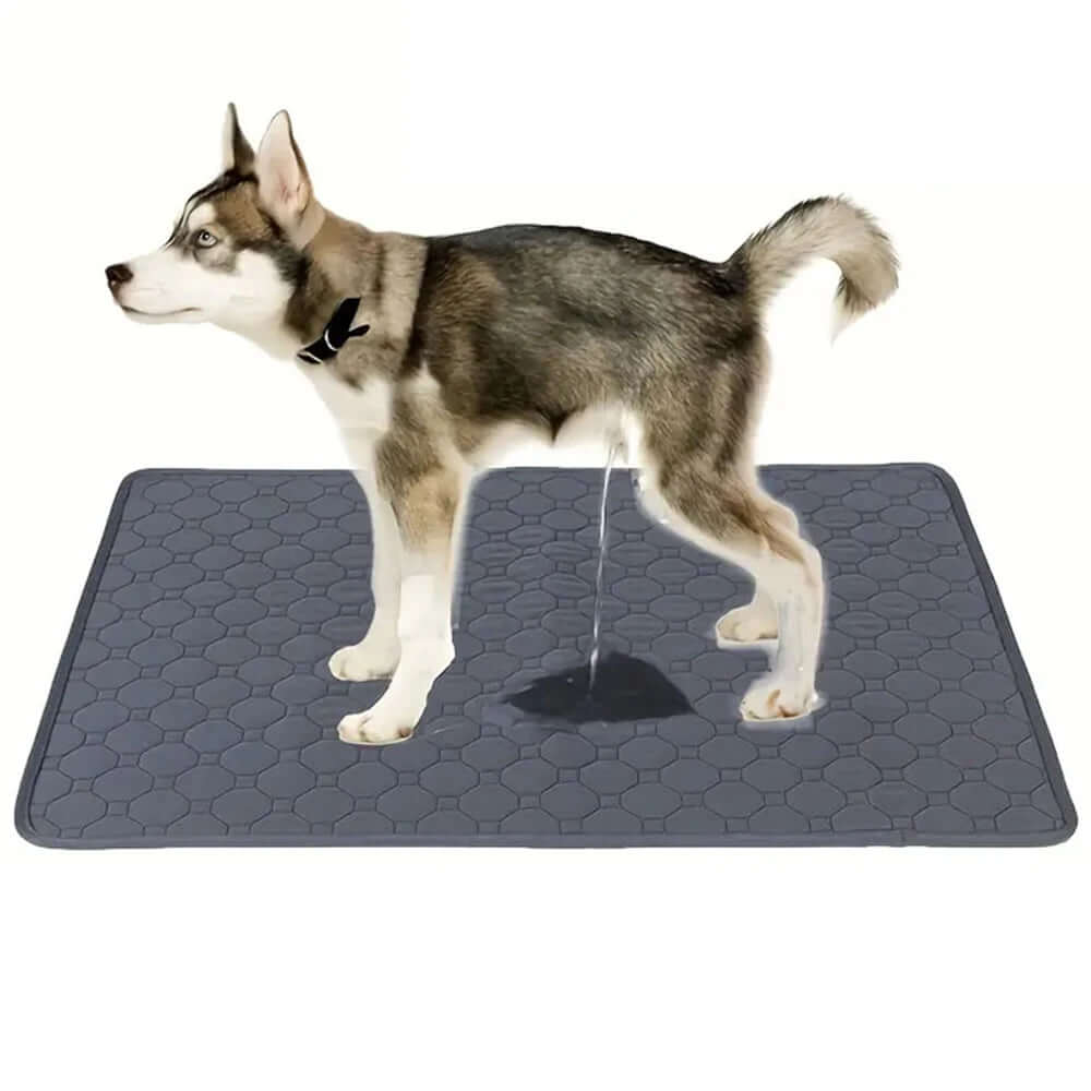 Reusable Washable Dog Pee Pad