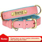 Customized Leather ID Nameplate Dog Collar - Soft Padded & Adjustable