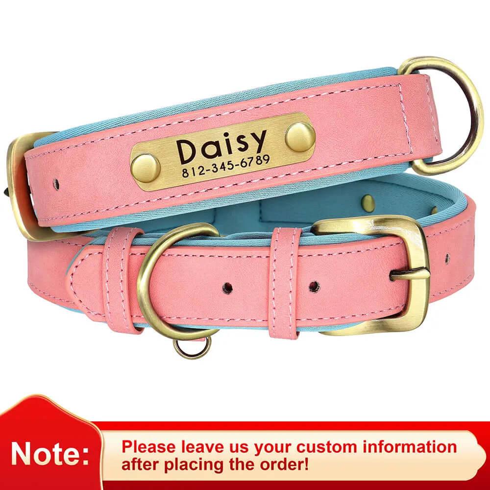 Customized Leather ID Nameplate Dog Collar - Soft Padded & Adjustable