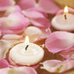 Unscented Floating Disc Candles