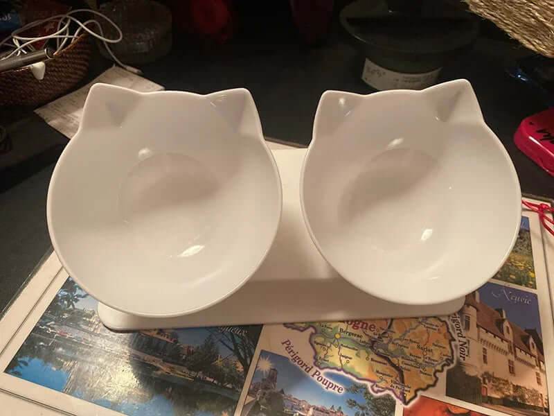 Non-Slip Double Cat & Dog Bowl with Stand