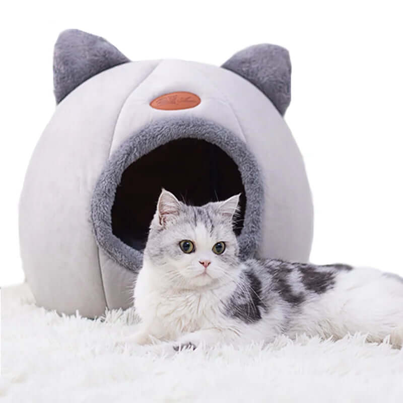 New Deep Sleep Comfort Cat Bed