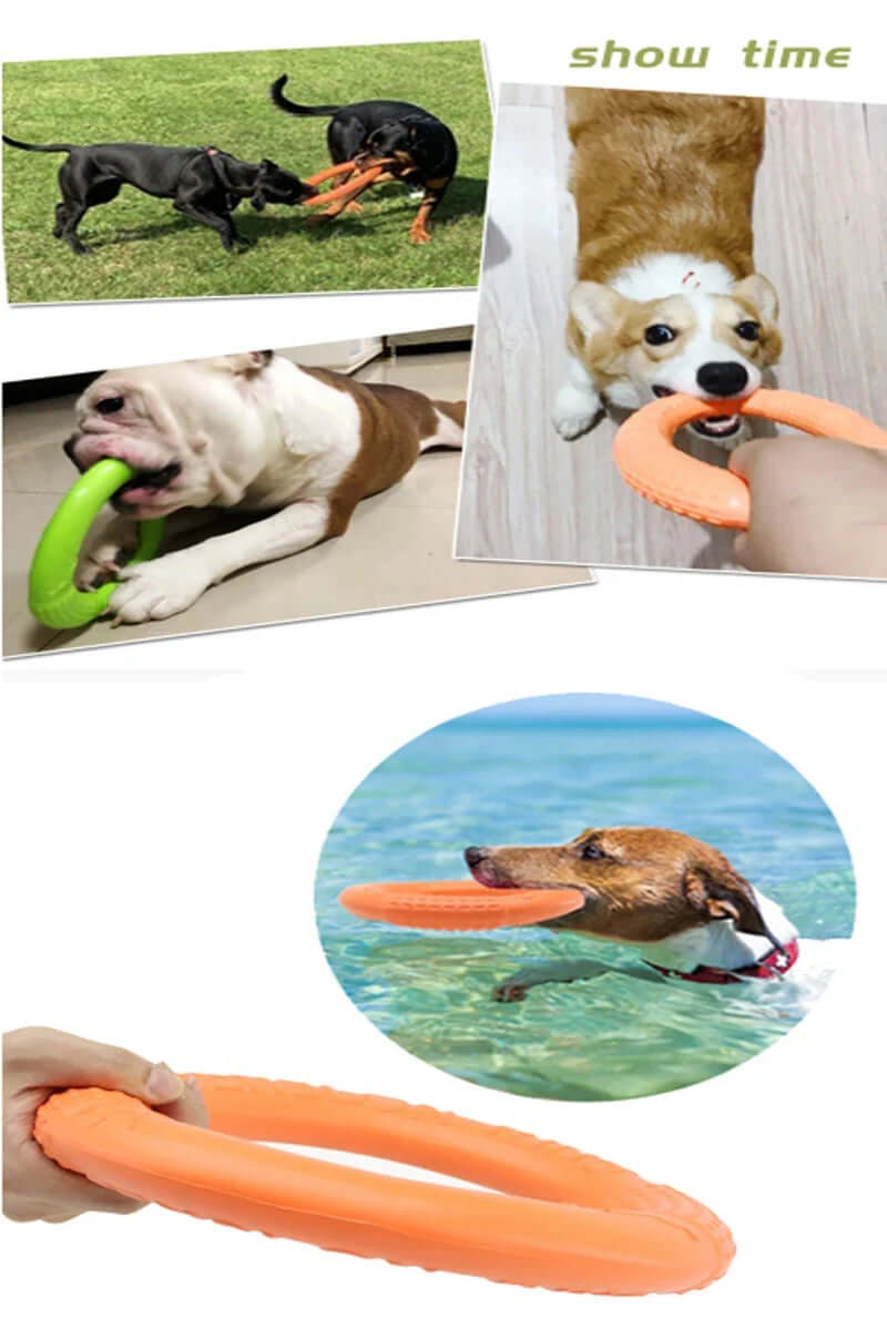 1PCS Orange Dog Training Toy - EVA Flying Disk and Training Puller