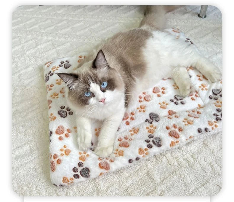 Flannel Pet Sleeping Mat & Cushion