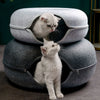 Donut Cat Bed & Interactive Tunnel