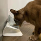 Non-Slip Double Cat & Dog Bowl with Stand