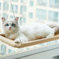 Hanging Cat Bed with Window Seat Mounts