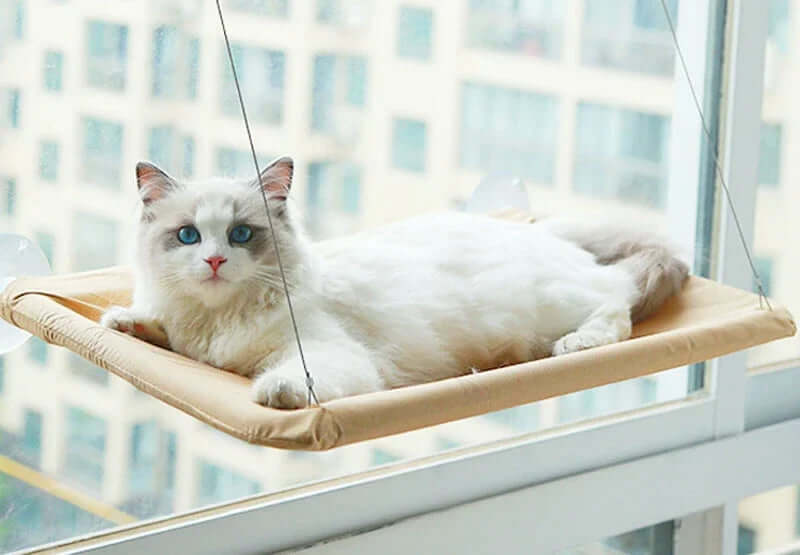 Hanging Cat Bed with Window Seat Mounts