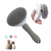 Pet Cat Hair Brush & Dog Comb