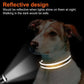 Reflective Soft Neoprene Padded  Dog Collar