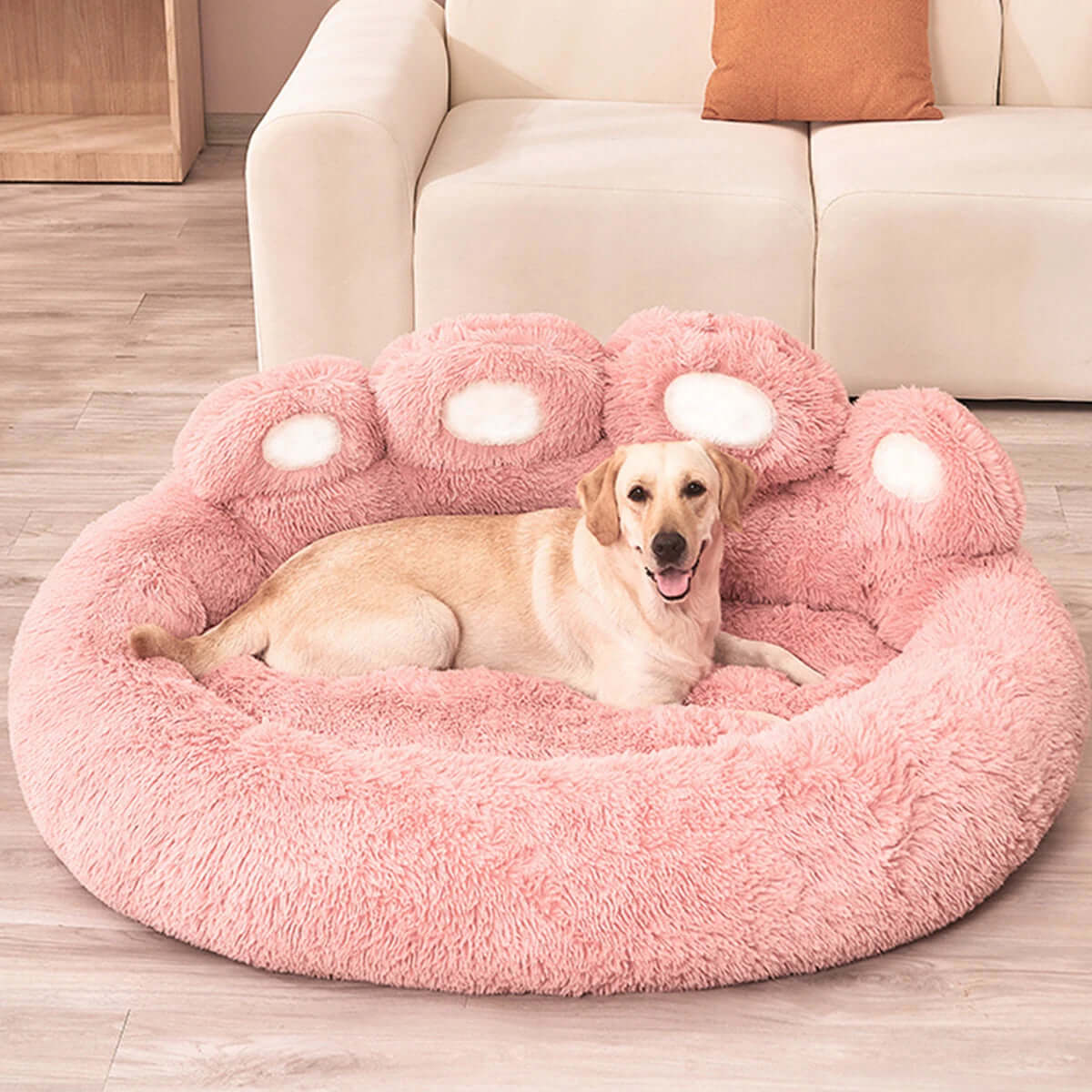 Pet Sofa Beds for Small Dogs