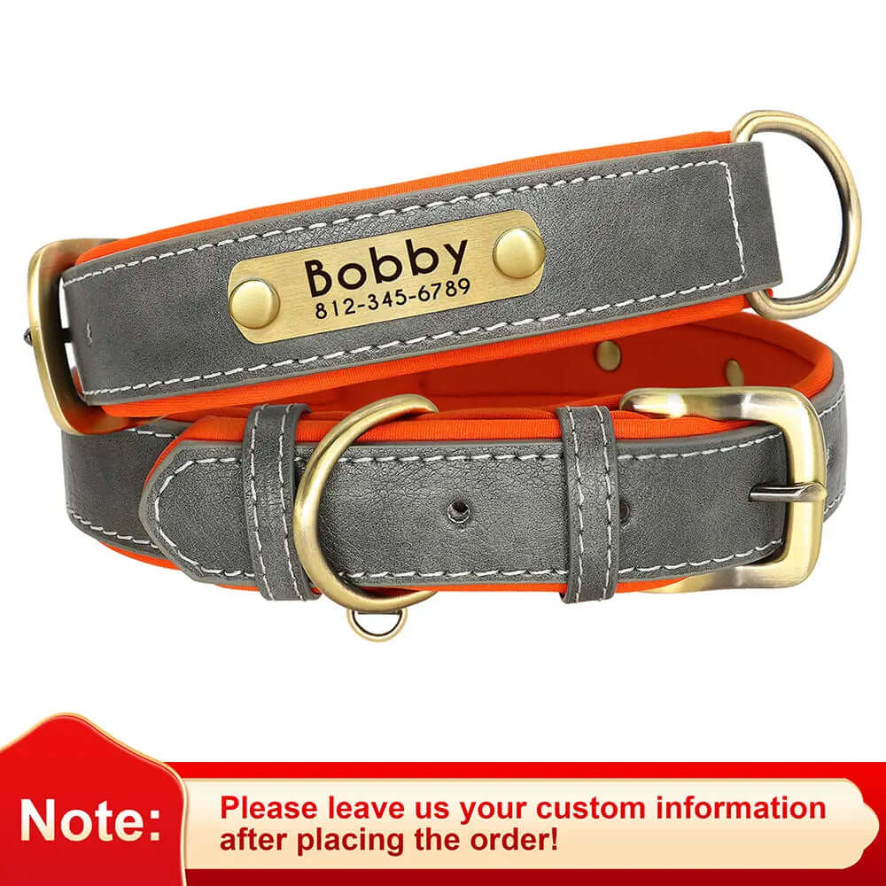 Customized Leather ID Nameplate Dog Collar - Soft Padded & Adjustable