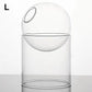 Mini Round Glass Hydroponic Vasecate Glass Bottle With Home Decorate