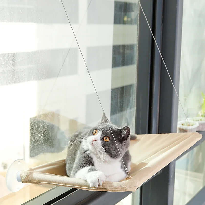 Hanging Cat Bed with Window Seat Mounts