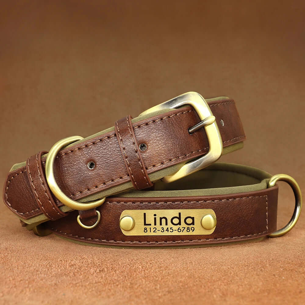 Customized Leather ID Nameplate Dog Collar - Soft Padded & Adjustable