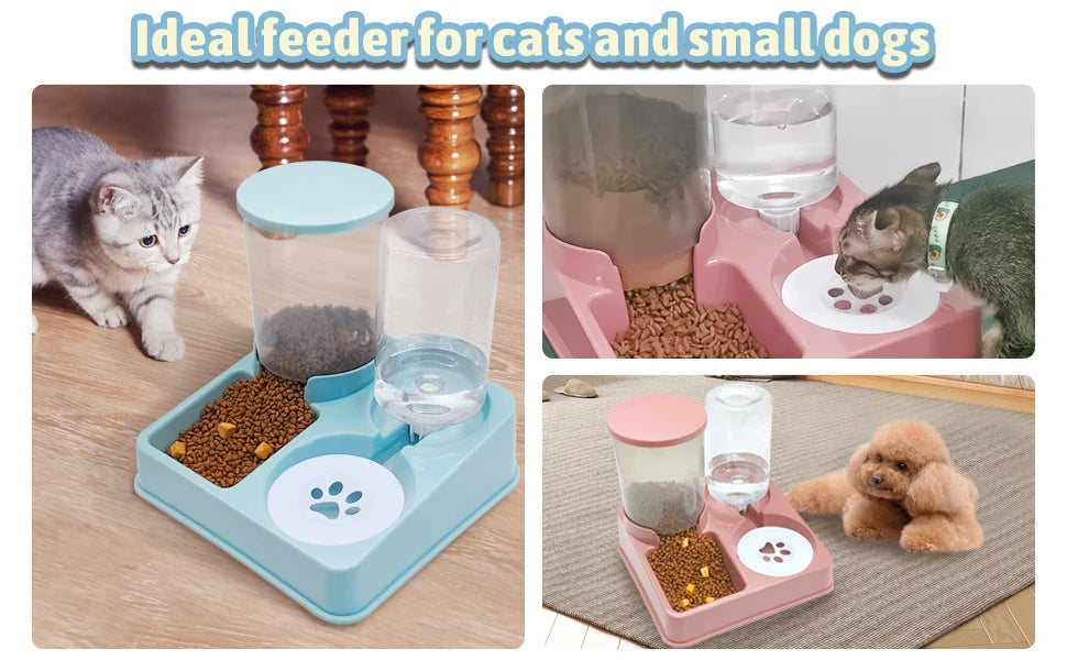 Cat Feeder & Water Dispenser Set