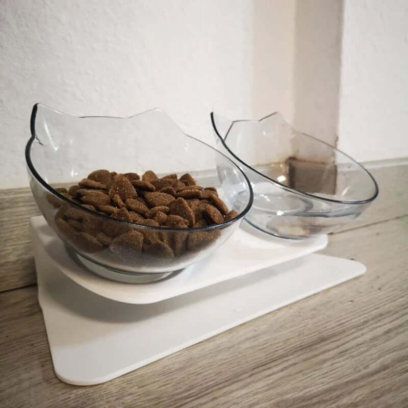 Non-Slip Double Cat & Dog Bowl with Stand