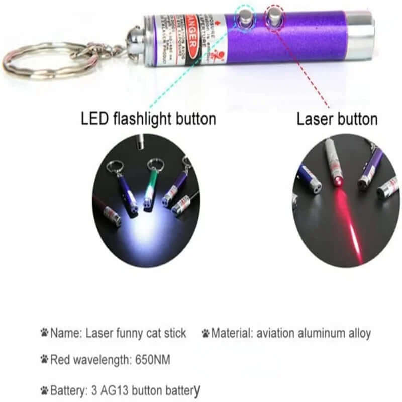 Fun Pointer Red Light Laser LED Training Torch Pet Toys