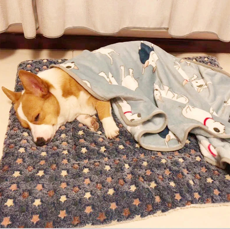 Flannel Pet Sleeping Mat & Cushion