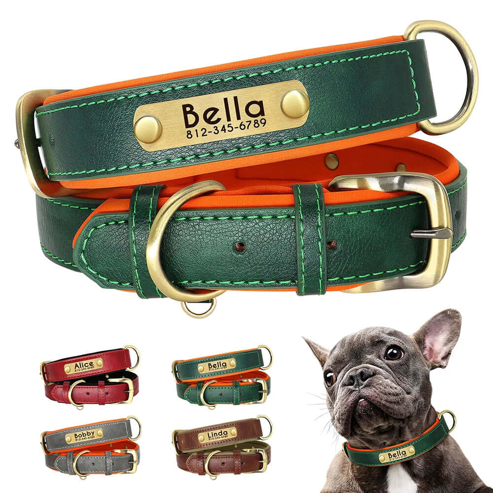 Customized Leather ID Nameplate Dog Collar - Soft Padded & Adjustable