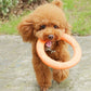 1PCS Orange Dog Training Toy - EVA Flying Disk and Training Puller