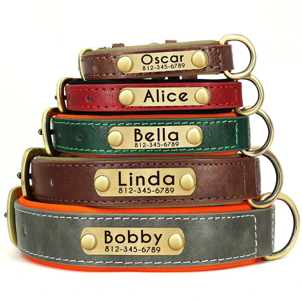 Customized Leather ID Nameplate Dog Collar - Soft Padded & Adjustable