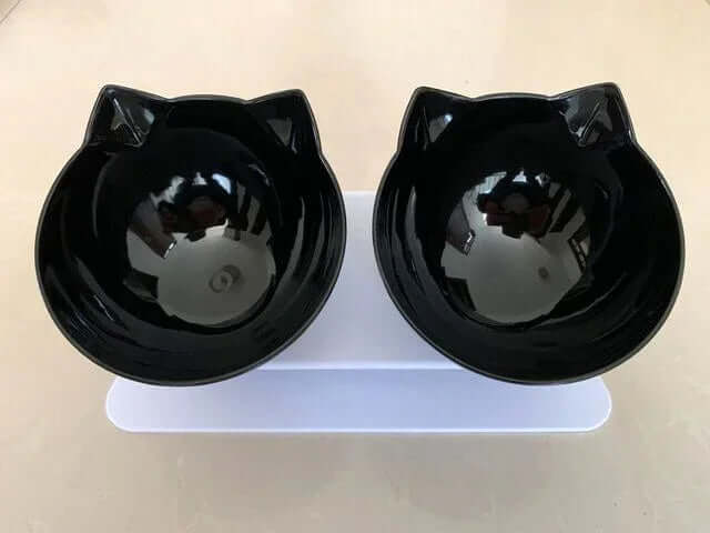 Non-Slip Double Cat & Dog Bowl with Stand