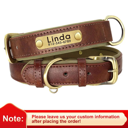 Customized Leather ID Nameplate Dog Collar - Soft Padded & Adjustable