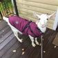 Large Pet Dog Jacket with Harness s