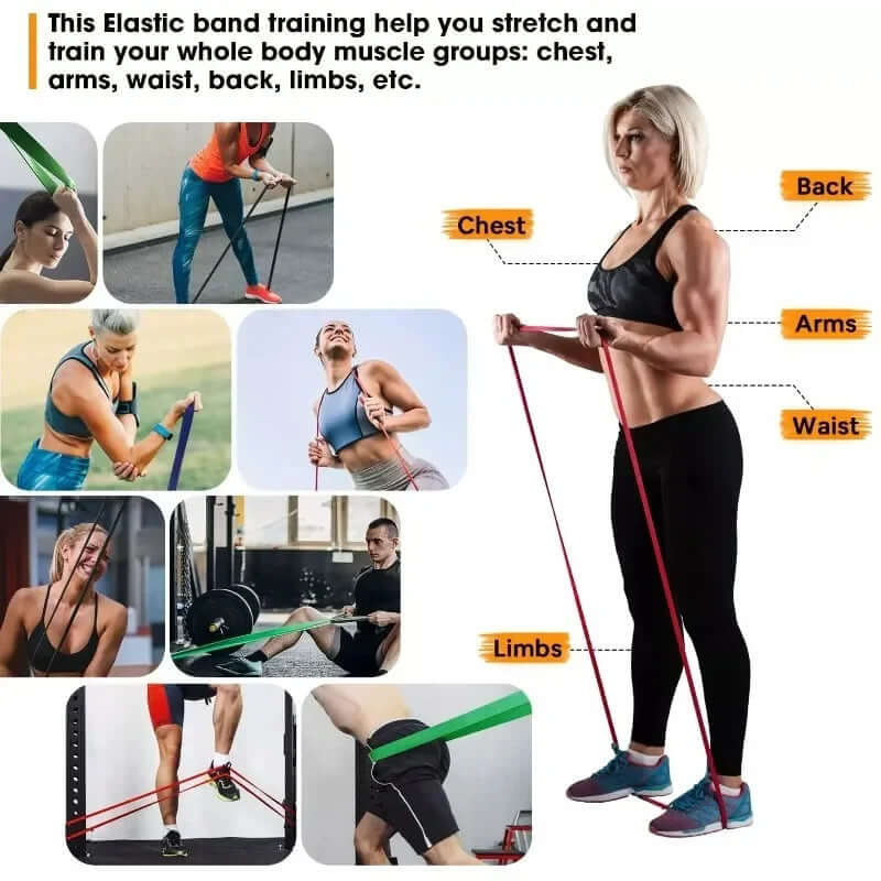 5~120lbs Fitness Resistance Band