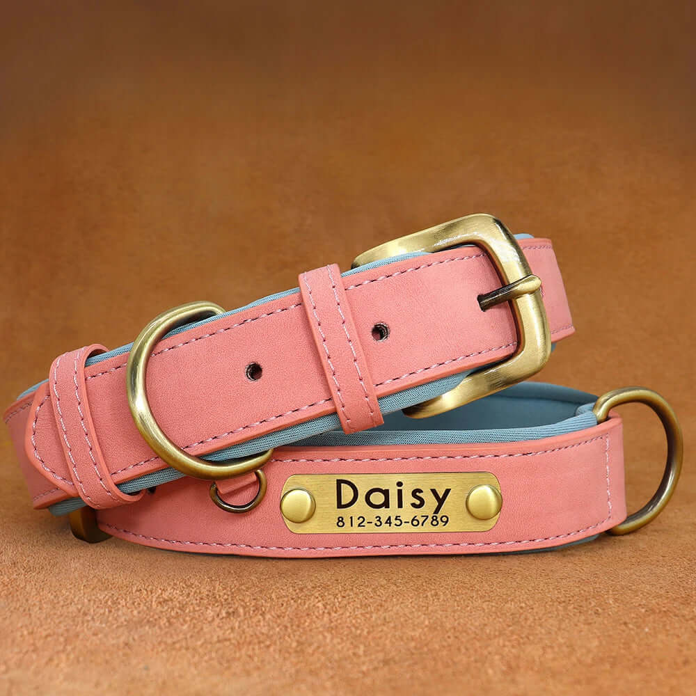 Customized Leather ID Nameplate Dog Collar - Soft Padded & Adjustable