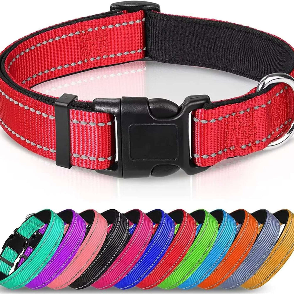 Reflective Soft Neoprene Padded  Dog Collar