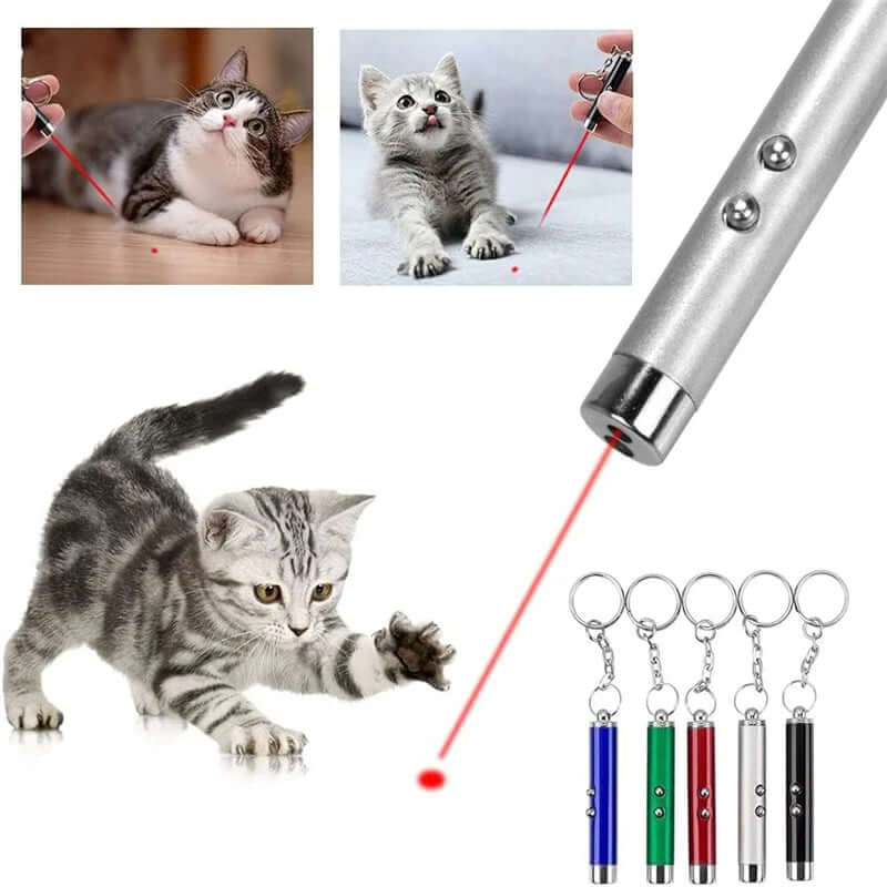 Fun Pointer Red Light Laser LED Training Torch Pet Toys