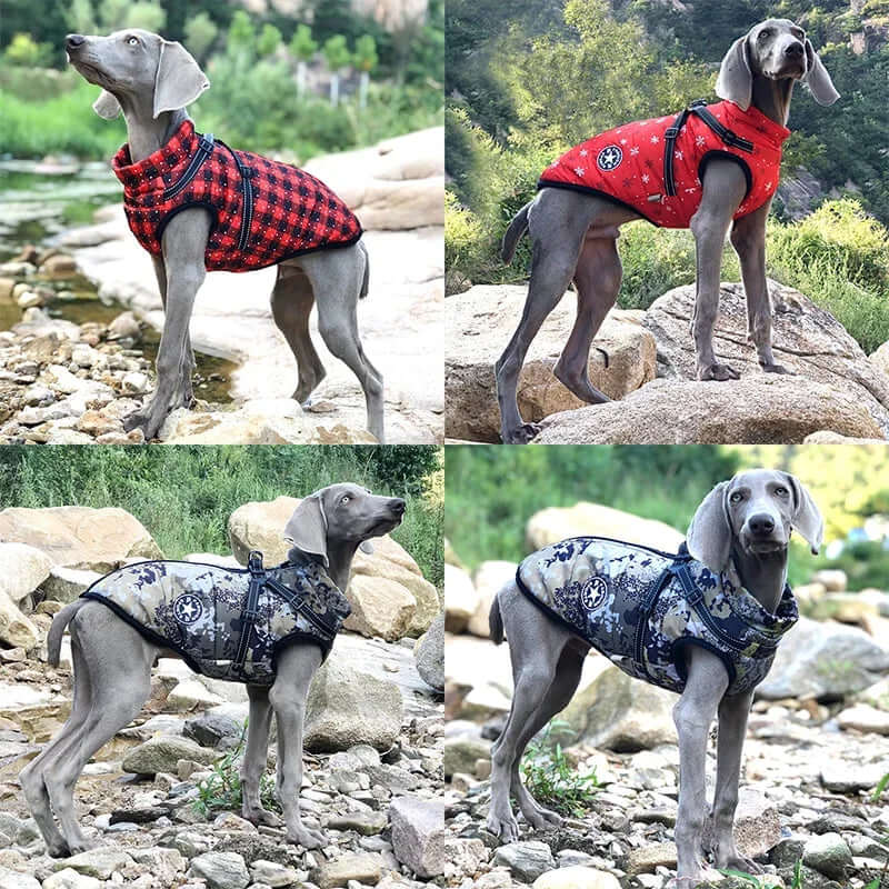 Large Pet Dog Jacket with Harness s