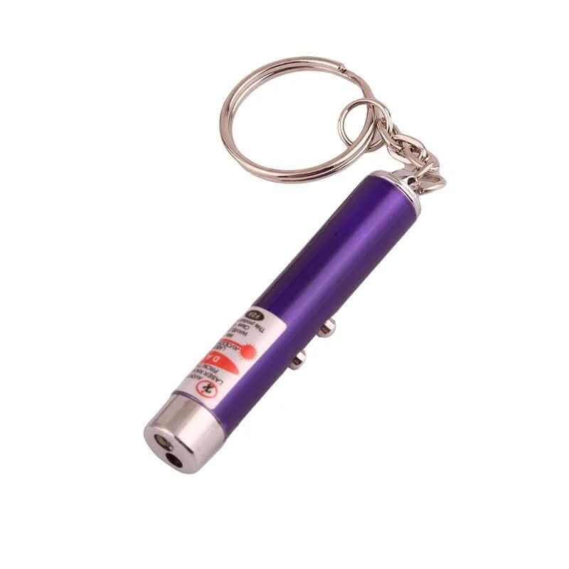 Fun Pointer Red Light Laser LED Training Torch Pet Toys