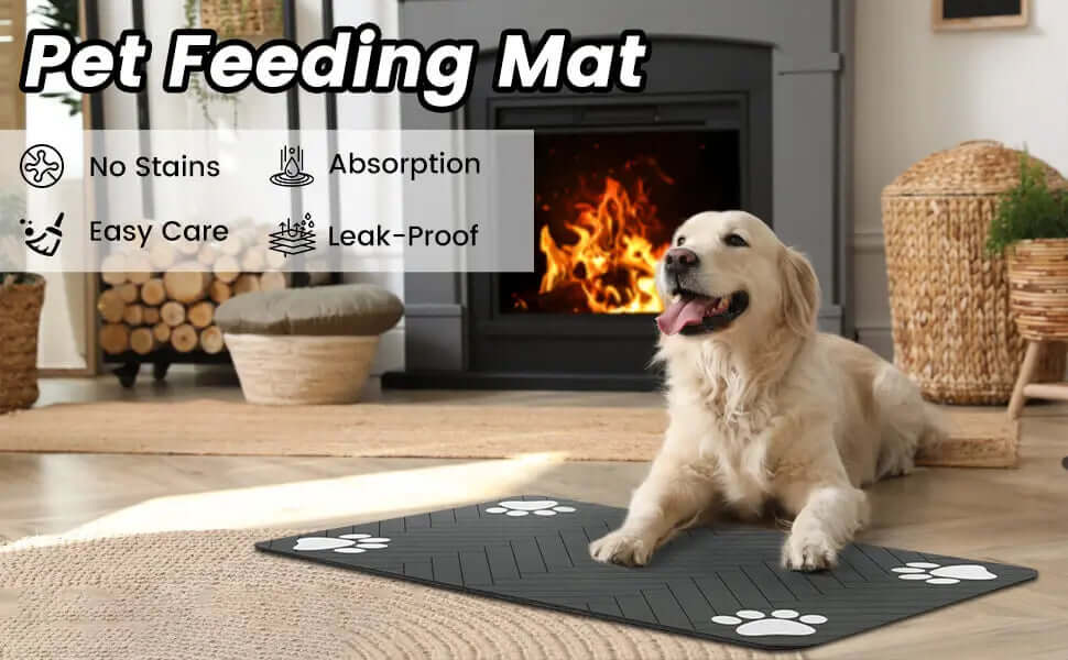 Quick Dry Water Mat for Dog & Cat