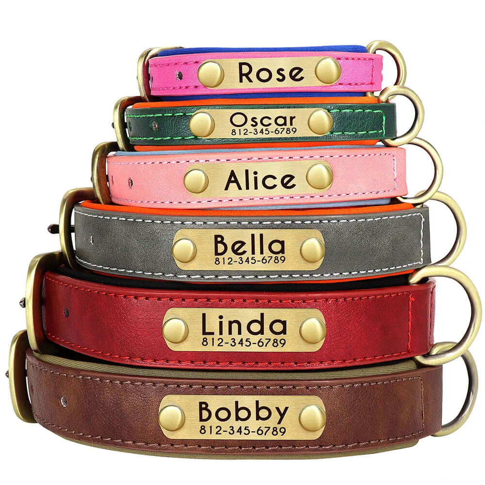 Customized Leather ID Nameplate Dog Collar - Soft Padded & Adjustable