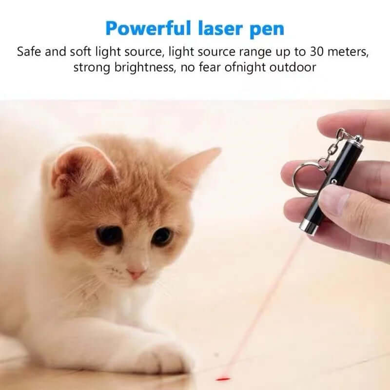 Fun Pointer Red Light Laser LED Training Torch Pet Toys