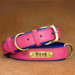 Customized Leather ID Nameplate Dog Collar - Soft Padded & Adjustable