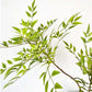 Artificial Bamboo Tree with Nandina Leaves