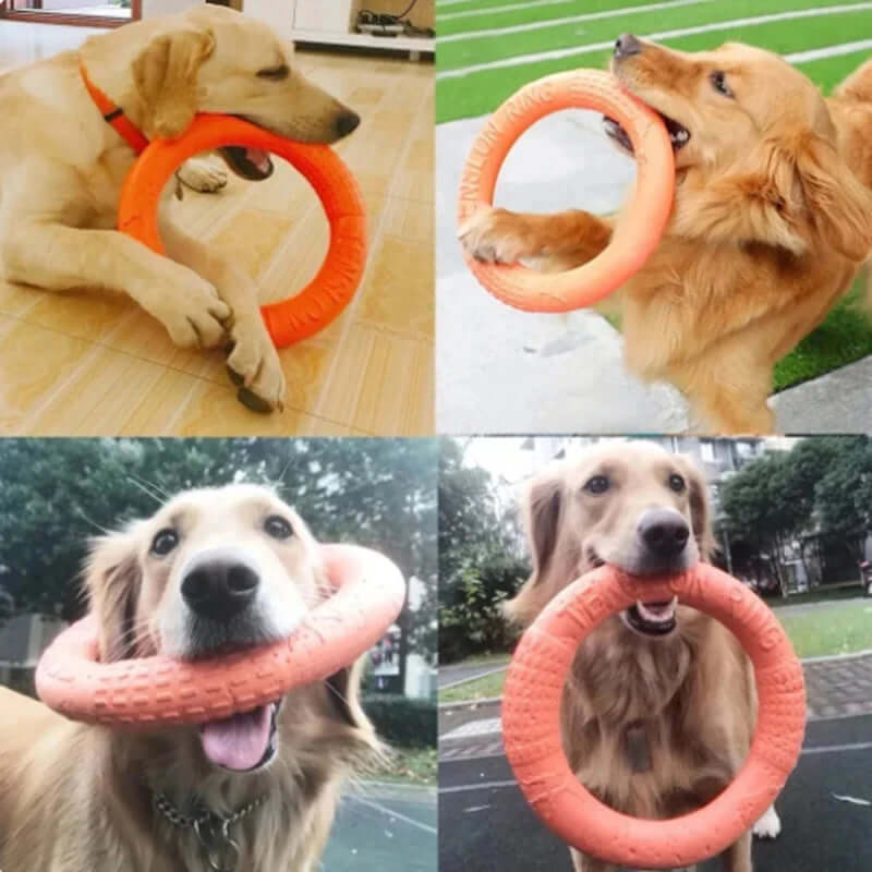 1PCS Orange Dog Training Toy - EVA Flying Disk and Training Puller