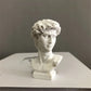 Resin David Mini Head Art Sculpture