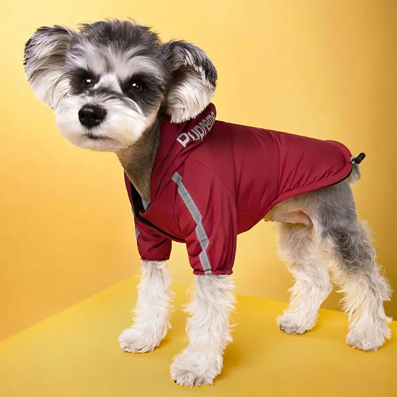 Waterproof Dogs Clothes -