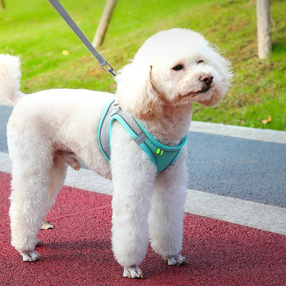 Reflective Breathable Pet Harness