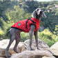 - Winter Waterproof Coat for Big and Small Dogs