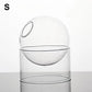 Mini Round Glass Hydroponic Vasecate Glass Bottle With Home Decorate