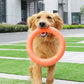 1PCS Orange Dog Training Toy - EVA Flying Disk and Training Puller